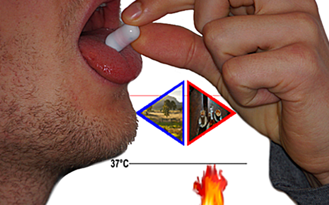 The Guts Game: Towards Designing Ingestible Games