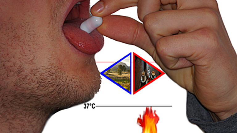 The Guts Game: Towards Designing Ingestible Games