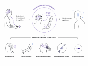 Motor Memory in HCI